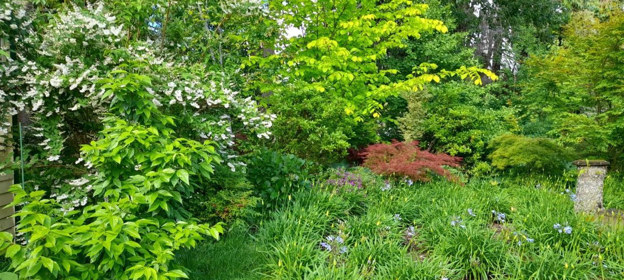 Earthsounds Country Cottage Таумарунуи Екстериор снимка
